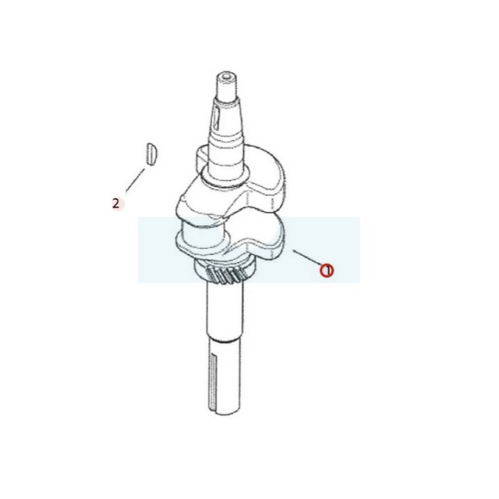 Vilebrequin pour moteur Kohler (1401481S)