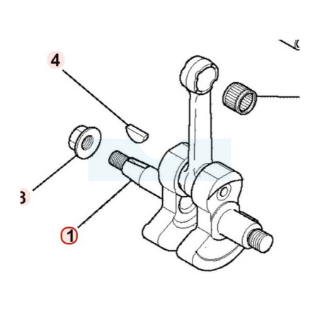 Vilebrequin pour moteur Mitsubishi (KD01053AA)