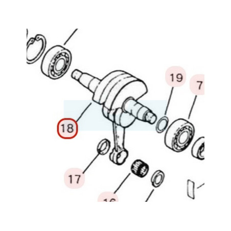 Vilebrequin pour moteur Zenoah (140042002)