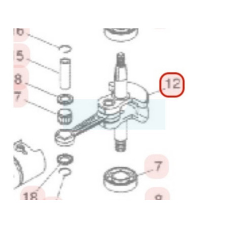 Vilebrequin pour moteur Zenoah (848E024204)