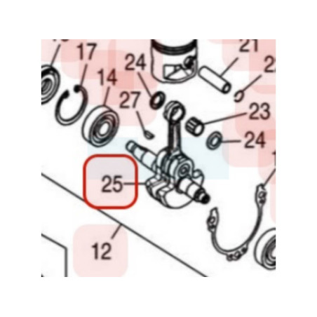 Vilebrequin pour moteur Zenoah (848F604201)