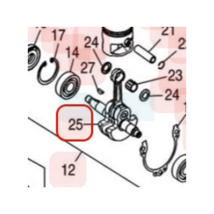 Vilebrequin pour moteur Zenoah (848F604201)