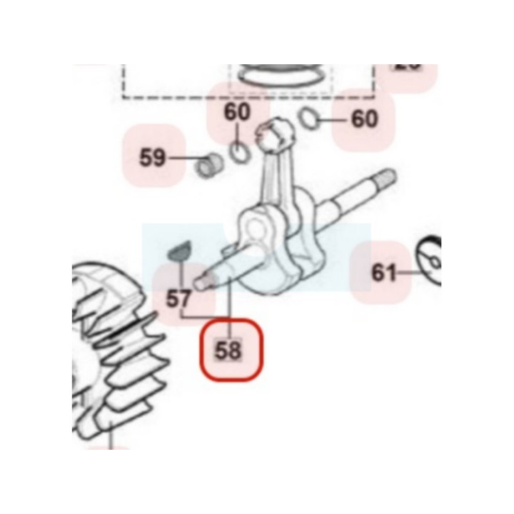 Vilebrequin pour tronçonneuse Maruyama (M035777)