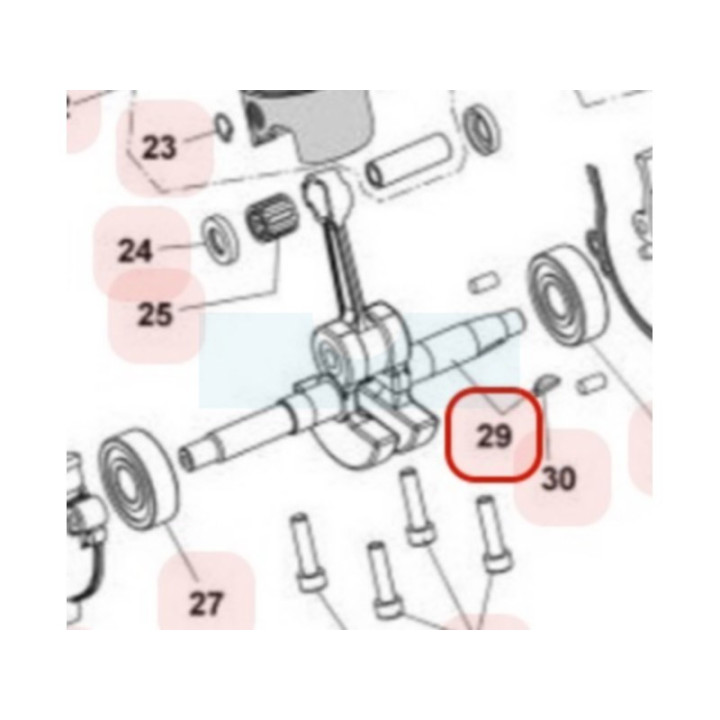 Vilebrequin pour tronçonneuse Maruyama (M036042)