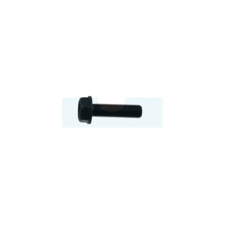 Vis de lame pour tondeuse Roques & Lecoeur (TB1001B00032)