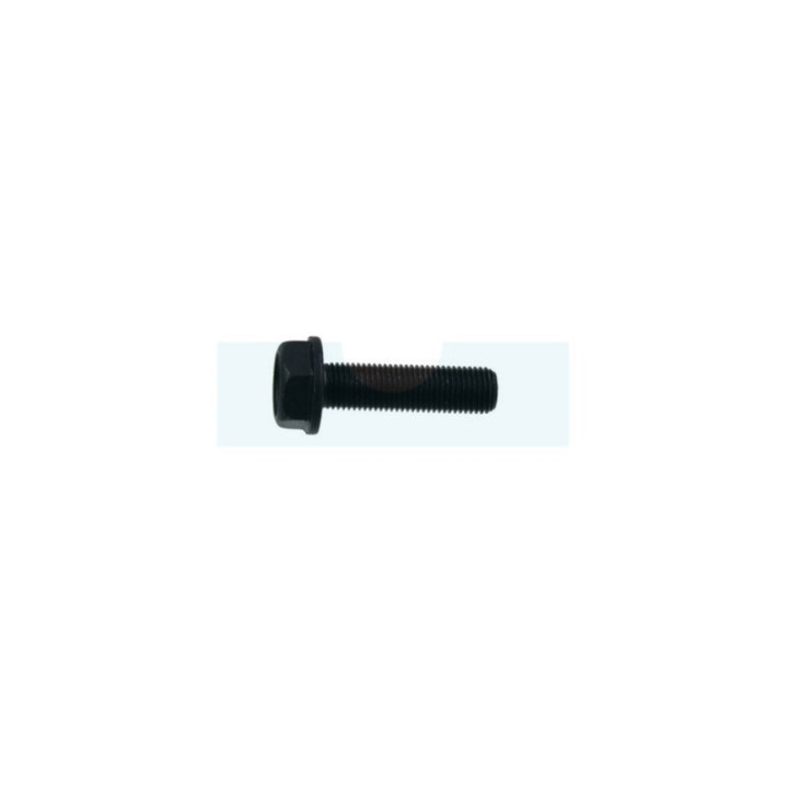 Vis de lame pour tondeuse Roques & Lecoeur (TB1001B00032)