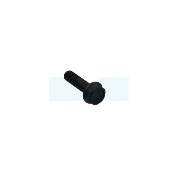 Vis de lame pour tondeuse Roques & Lecoeur (TB1001B00032)