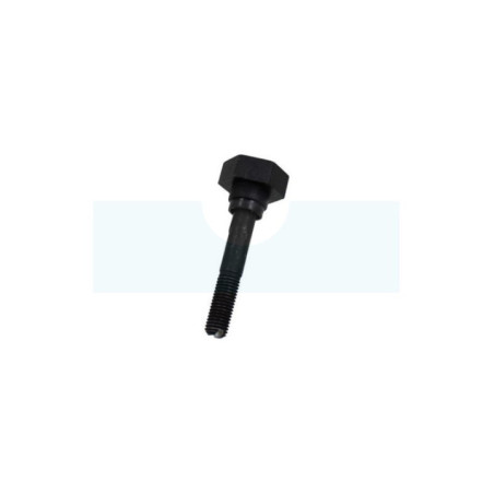 Vis de lame pour tondeuse Weibang (4540405010)