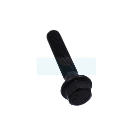 Vis de lame pour tondeuse Weibang (5320405010)