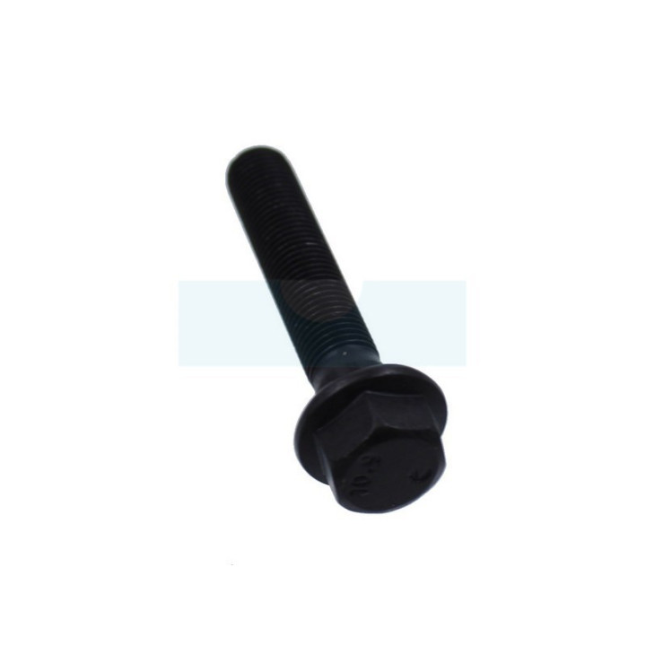 Vis de lame pour tondeuse Weibang (5320405010)