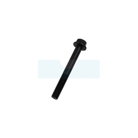 Vis de lame pour tondeuse Weibang (XYJ200011)