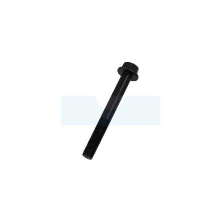 Vis de lame pour tondeuse Weibang (XYJ200011)