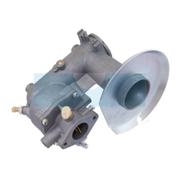 Carburateur pour moteur Briggs & Stratton (392587)