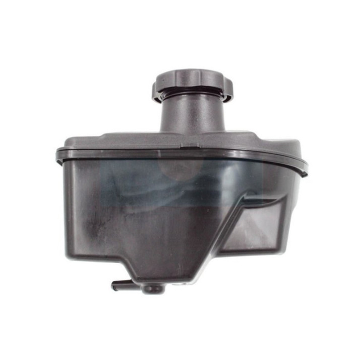 Réservoir d'essence pour moteur Briggs & Stratton (596207)
