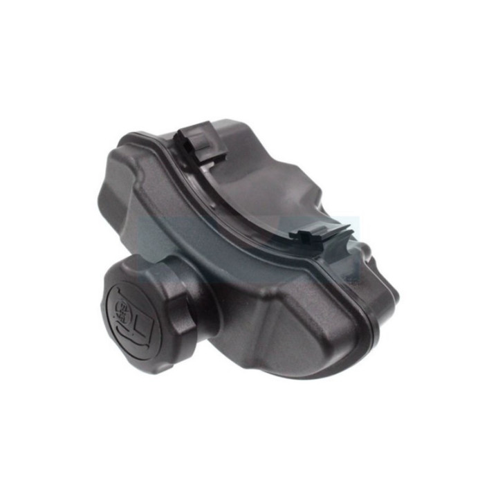 Réservoir d'essence pour moteur Briggs & Stratton (596207)