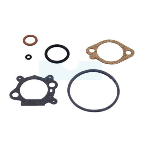 Kit réparation carburateur pour moteur Briggs & Stratton (498260)