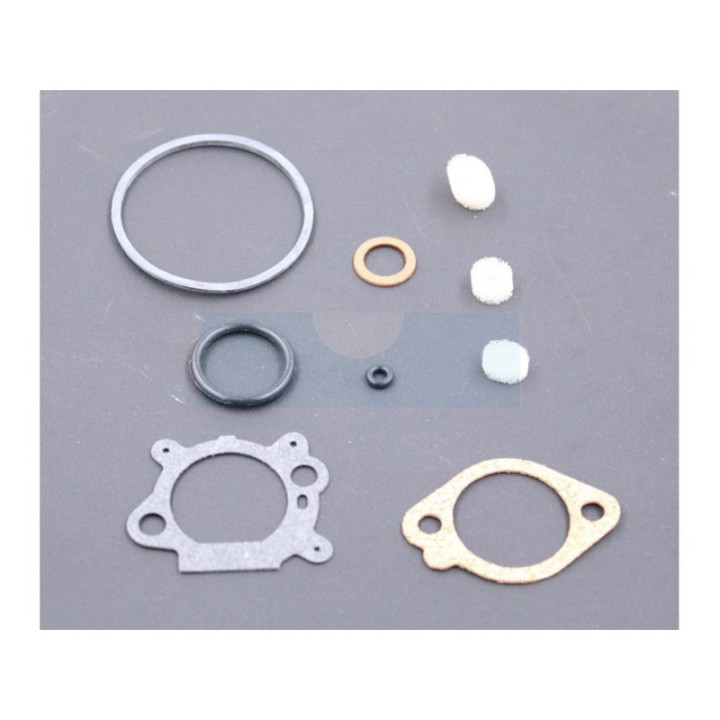 Kit réparation carburateur pour moteur Briggs & Stratton (498260)