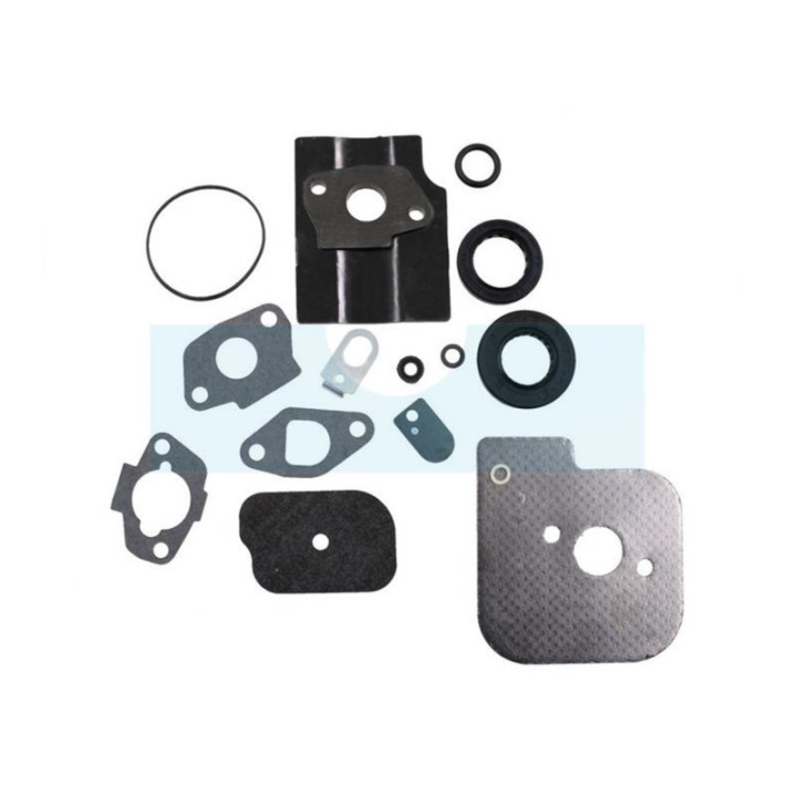 Kit joint de carburateur pour moteur Stiga (1185507300)