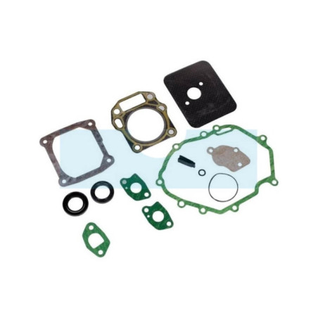 Pochette de joint pour moteur / tondeuse Stiga (1185504030)