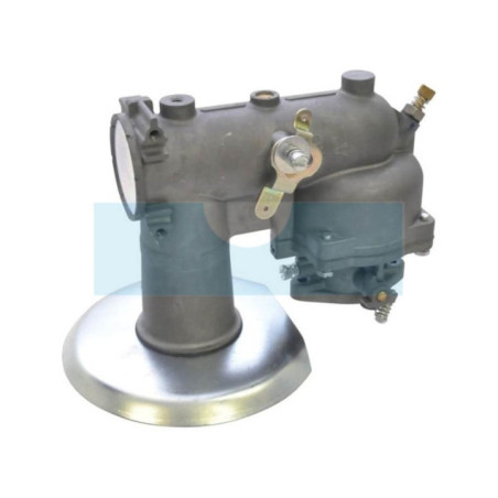 Carburateur pour moteur Briggs & Stratton (391073)
