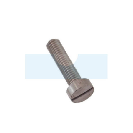 Vis Tc- Iso pour Echo / Shindaiwa (90020205020)