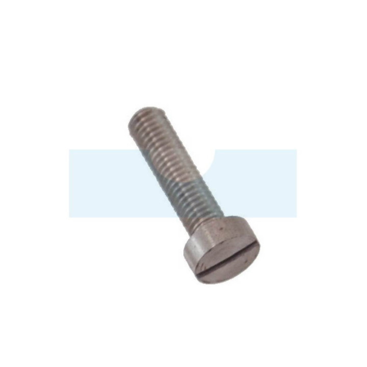 Vis Tc- Iso pour Echo / Shindaiwa (90020205020)