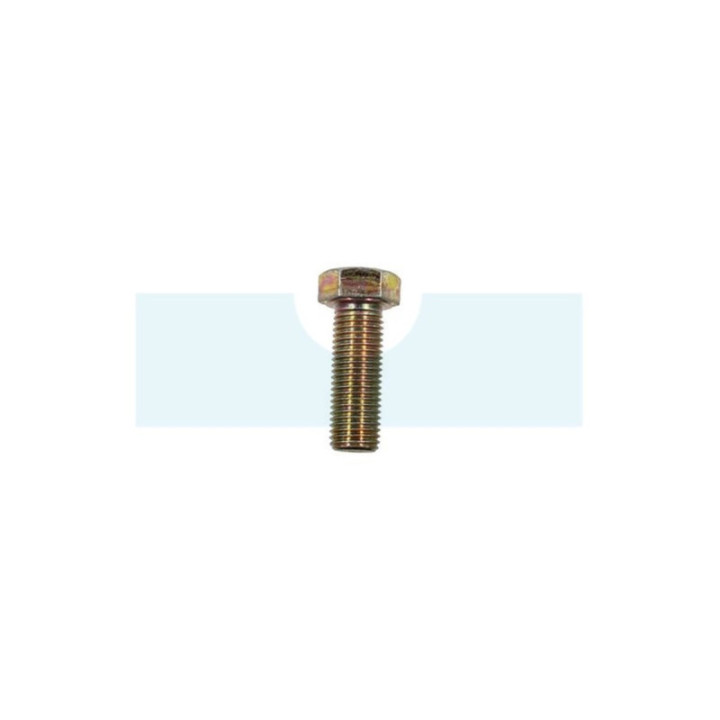 Vis de lame pour tracteur tondeuse Hustler (754101)