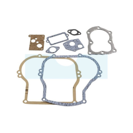 Pochette de joint pour moteur Briggs & Stratton (496659)