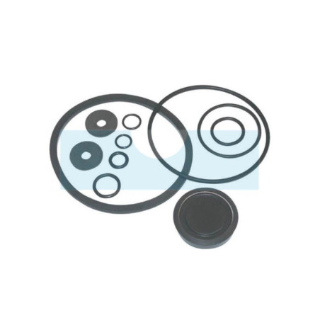Kit de joints pour pulvérisateur Solo (49004421)