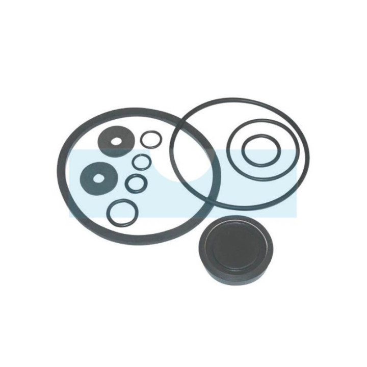 Kit de joints pour pulvérisateur Solo (49004421)