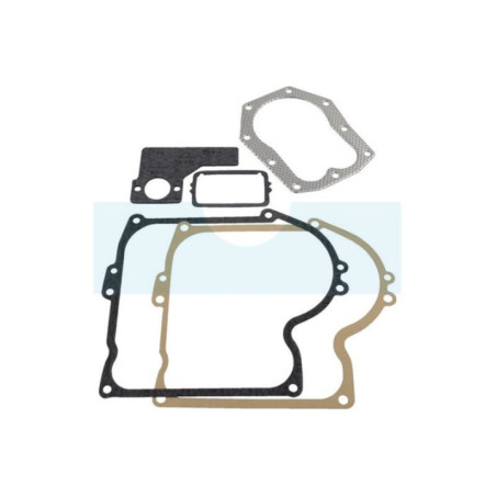 Pochette de joint pour moteur Briggs & Stratton (393411)