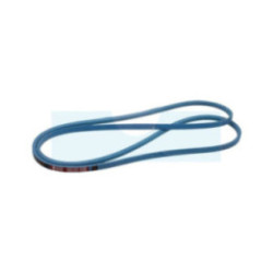 Courroie pour tracteur tondeuse MTD (75404258)