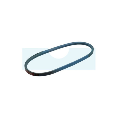 Courroie pour tondeuse Bunton (PL0148)