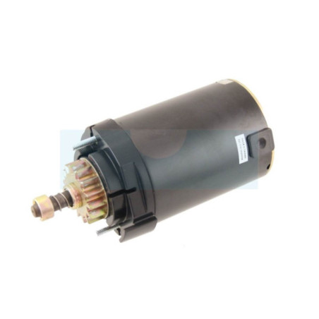 Démarreur pour moteur Kohler (2009801)