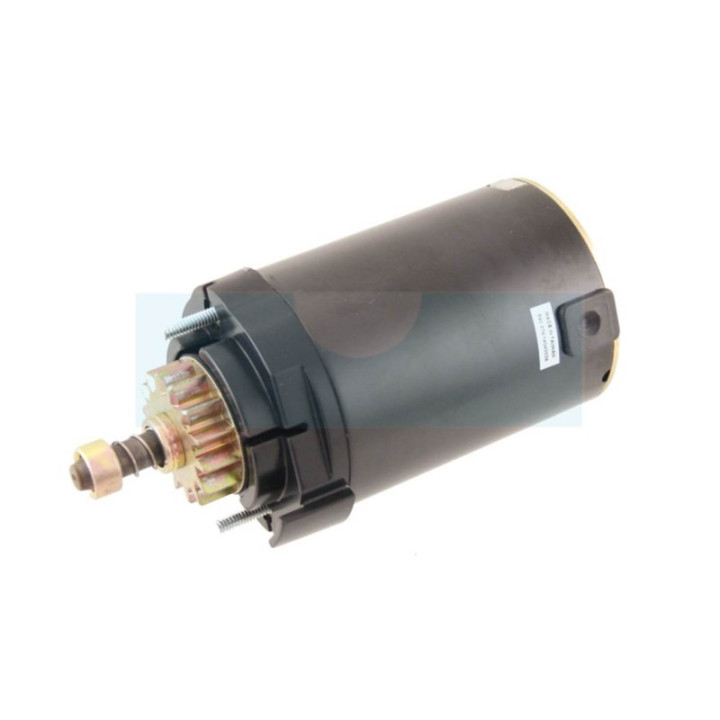 Démarreur pour moteur Kohler (2009801)