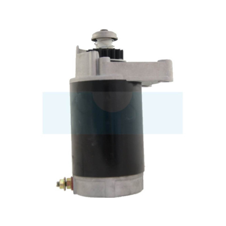 Démarreur pour moteur Briggs & Stratton (394808)