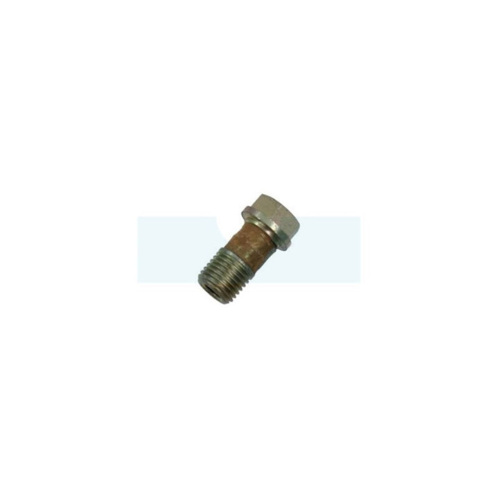 Vis raccord banjo pour débroussailleuse carburateur Echo (12013100120)