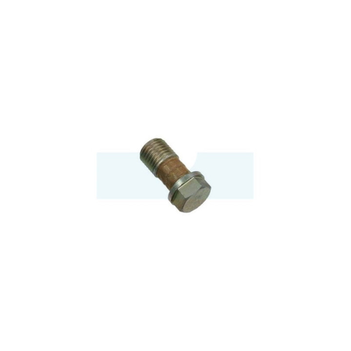 Vis raccord banjo pour débroussailleuse carburateur Echo (12013100120)