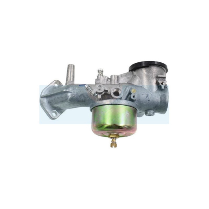 Carburateur pour moteur Briggs & Stratton (491026)