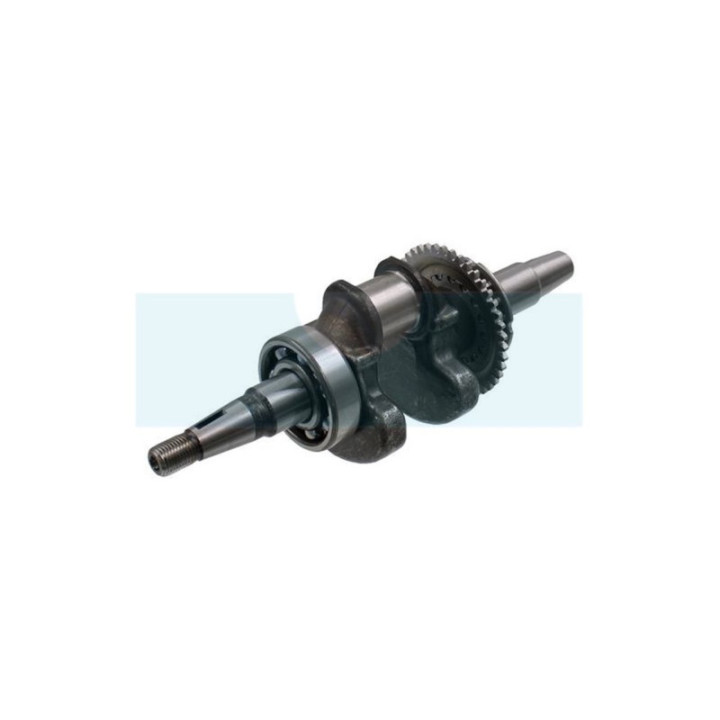 Vilebrequin pour moteur Honda (13310Z0DV70)
