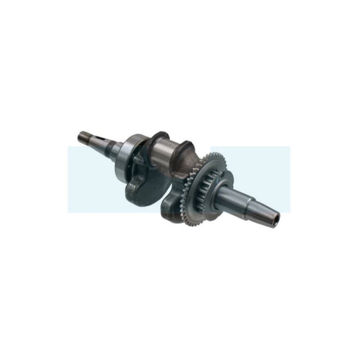 Vilebrequin pour moteur Honda (13310Z0DV70)