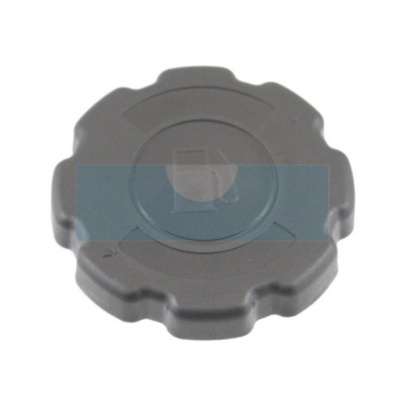 Bouchon de réservoir pour moteur Loncin (1708700390001)