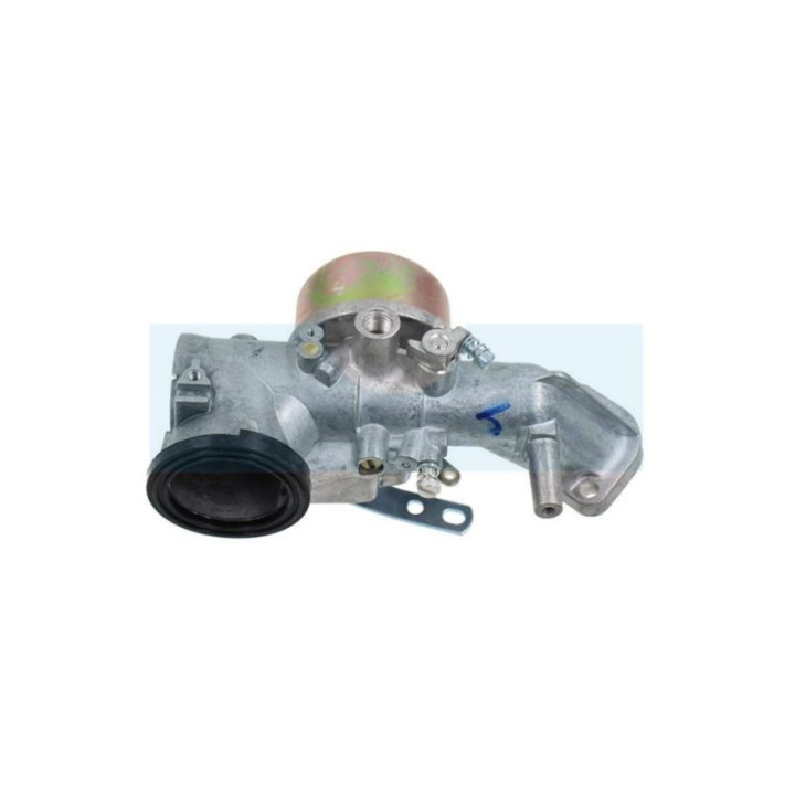 Carburateur pour moteur Briggs & Stratton (491026)
