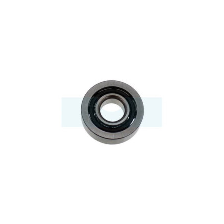 Roulement de vilebrequin pour tronçonneuse Stihl (95230034304)