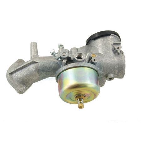 Carburateur pour moteur Briggs & Stratton (491031)