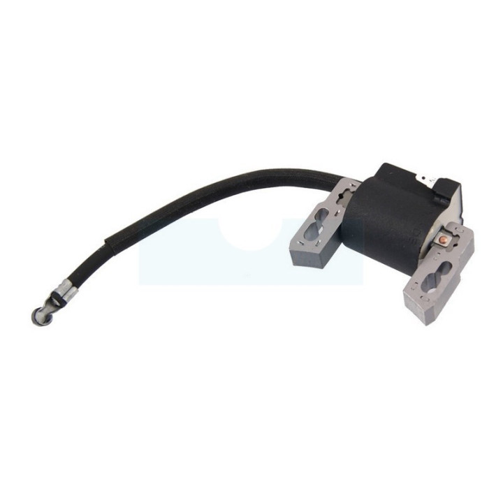 Bobine d'allumage pour moteur Briggs & Stratton (592445)