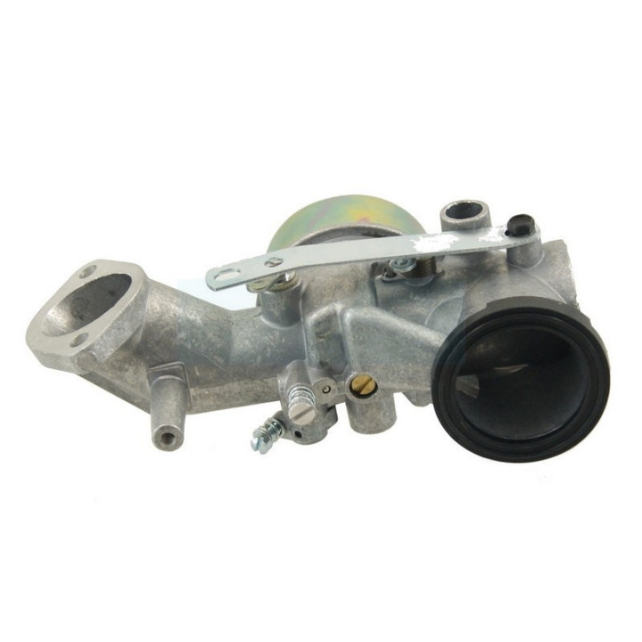 Carburateur pour moteur Briggs & Stratton (491031)