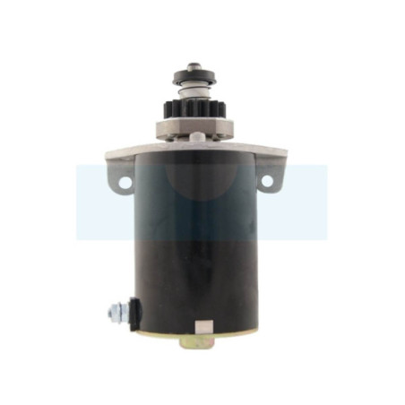 Démarreur pour moteur Briggs & Stratton (391178)