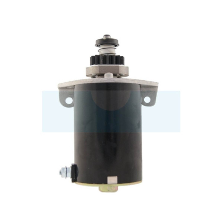 Démarreur pour moteur Briggs & Stratton (391178)