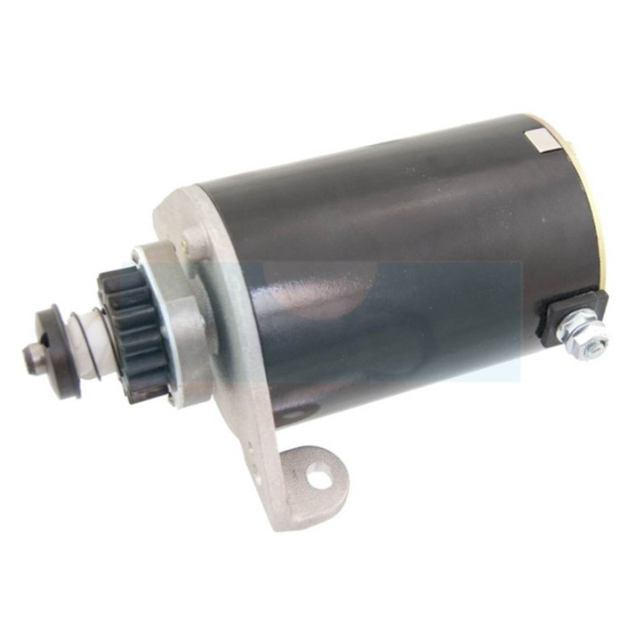 Démarreur pour moteur Briggs & Stratton (391178)